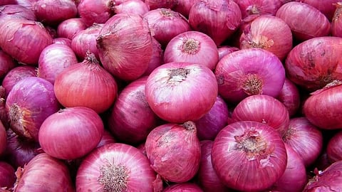 Life is an Onion
