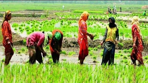 PM-KISAN Scheme