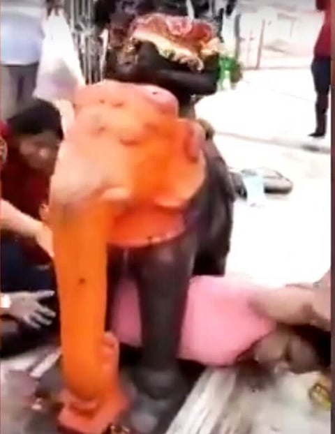 Female devotee in Gujarat temple gets stuck under elephant statue