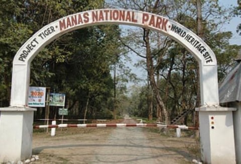 Workshop on human-snake conflict held at Manas National Park