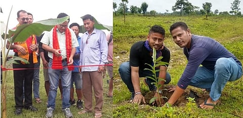 Joint Forest Management Committee attempts transforming 60 hectares land into green jungle