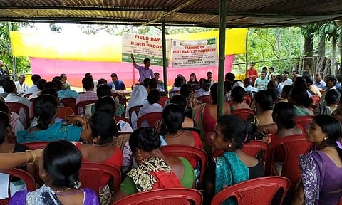 Field Day on Boro Paddy Conducted in Lakhimpur