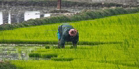 DC Narsing Pawar Directs Banks to Increase Credit Flow to Farmers