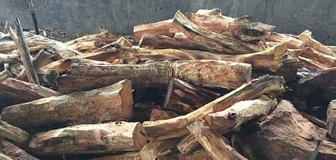 High-level inquiry demanded into illegal khair trade through Sadiya in Tinsukia