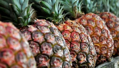 Tripura Exports Lemons and Exotic Pineapples to Dubai