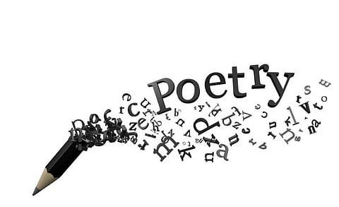 A Poem Heavily Laden With Provocation!
