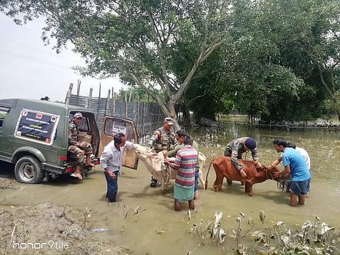 Indian Army takes initiative for Flood Relief Veterinary & Medical Camps in Lower Assam