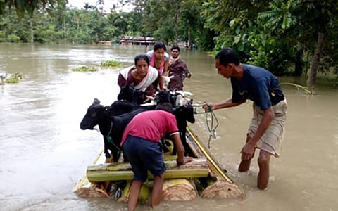 Assam Flood Havoc: 14 lakh populations affected in 25 Districts