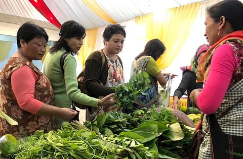 Indigenous Foods Star at Meghalaya Farmers’ Market