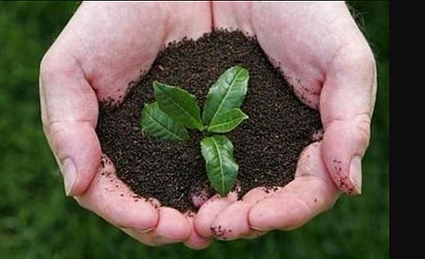 70th Van Mahotsava: Plantation drive carried out in Arunachal