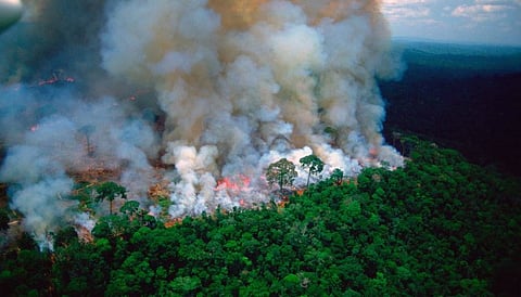 International Crisis in Amazon Rain Forest