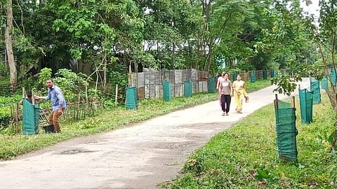 Campaign to keep village clean and green launched in a Numaligarh village