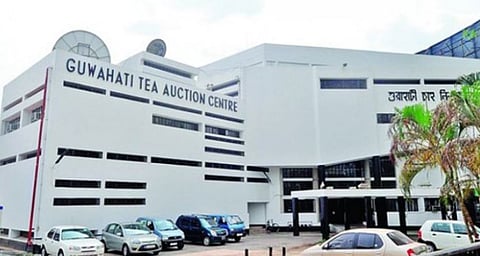 GTAC Tea Lounge to Offer Exotic Blends and Flavours, Benefit Growers