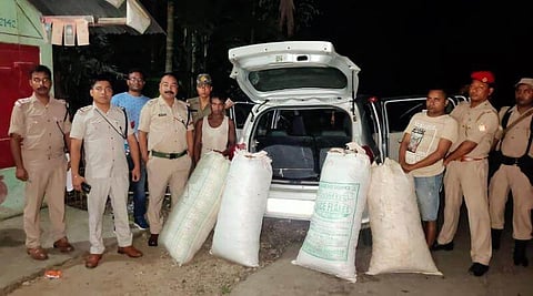 Lakhimpur Police seize 104.65 kg of cannabis in its operation against Narcotic Drugs and Psychotropic Substances
