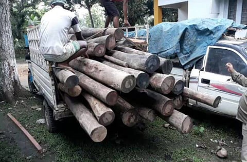 Rs 1 lakh worth sal logs recovered by forest personnel of Bamunigaon Forest Range