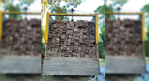 Illegal Teak Sawn Timbers from Mizoram seized in Cachar, Two Drivers Arrested