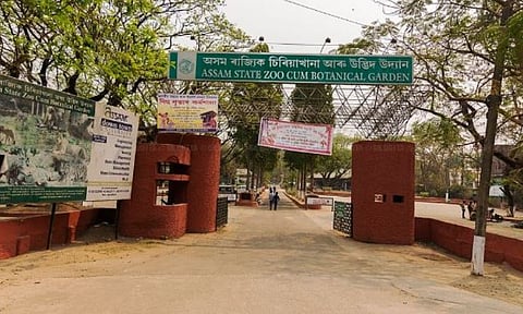 Assam State Zoo Launches a Web Portal for Tickets
