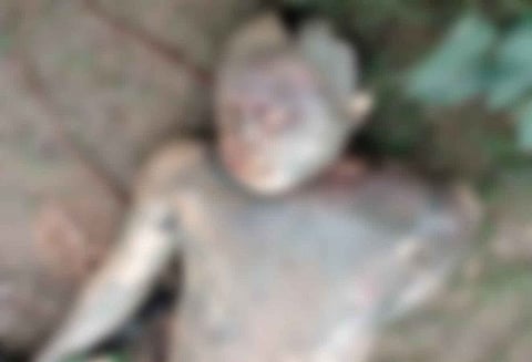 Unidentified Corpse recovered from Dhansiri River in Bokajan