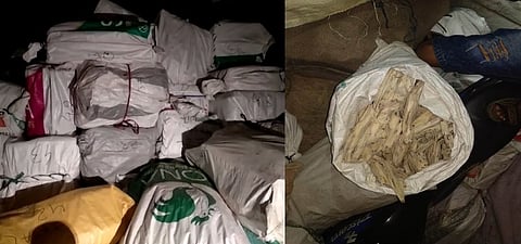 Illegal Agarwoods worth Rs 1.5 crore seized by Assam Police at NH37 in Bokakhat