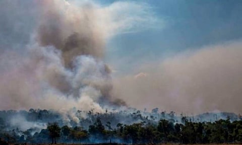 Amazonian Countries To Sign Pact on Amazon Conservation