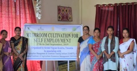 Training Programme on Mushroom Cultivation Concludes in Tinsukia