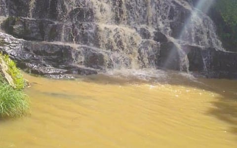 Probe Ordered Into Pollution of Elephant Falls