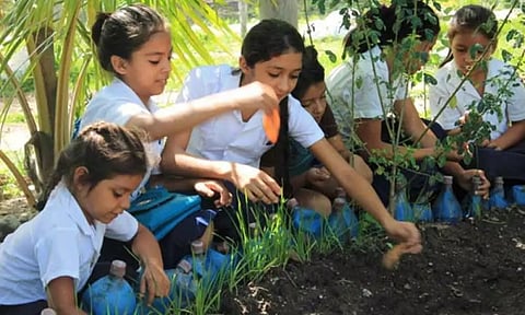 Centre to All-State and UT Asks Schools to Set Up Kitchen Gardens