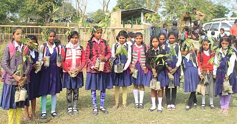 Clean, Green & Fit Village: A Popular Campaign Across State