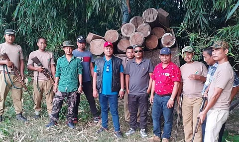 Illegal Sal logs and sawn timber seized at Haltugaon forest division