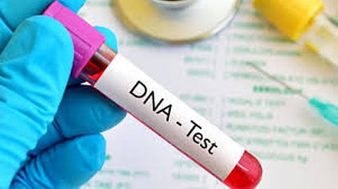 Apex Court Stresses Speedy DNA Tests Under POCSO Act