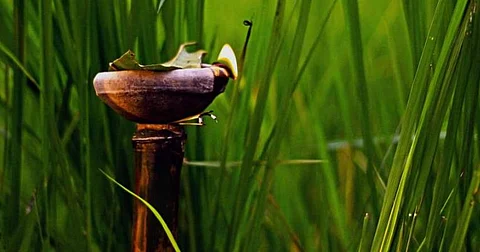 Bhuragaon Locals Deprived of Celebrating Kati Bihu