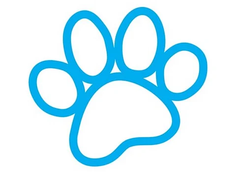 Useful Apps & Websites: My Talking Pet