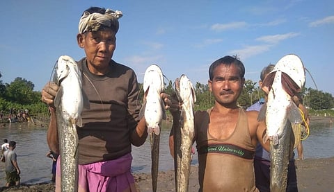 Community fishing at Longa Irrigation at Ramfalbil in Kokrajhar
