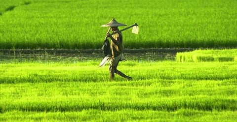 Land Policy 2019: Dispur moves to Protect Indigenous Agriculturists