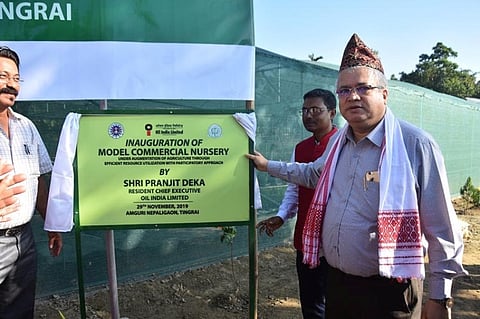 OIL CSR: Model Commercial Nursery Inaugurated at Amguri Nepali Gaon