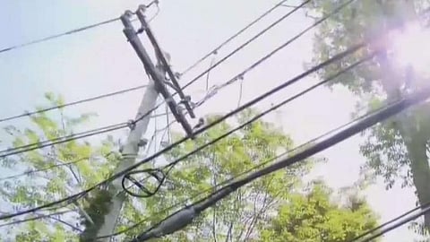 Employees Electrocuted