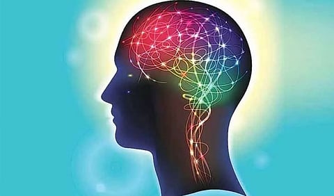 Artificial Intelligence-based Algorithm developed to Treat Brain Injury