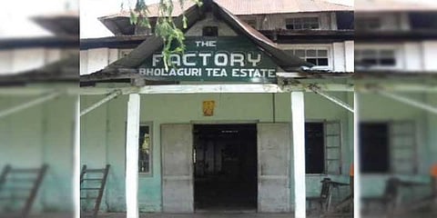 Bholaguri Tea Estate to be renovated; Department of Culture initiates construction