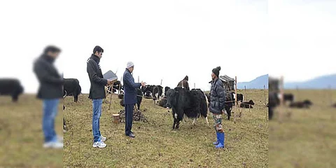 ICAR-National Research Centre Mela on Yak Draws Crowd at Mandala
