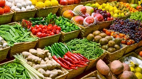 Bagra & Team Take Stock of Mega Food Park near Dolikota village