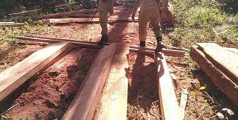 Illegal sawmill busted, two smugglers held in Kokrajhar