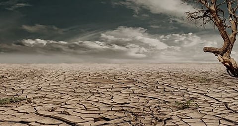 Urgency to stop soil erosion
