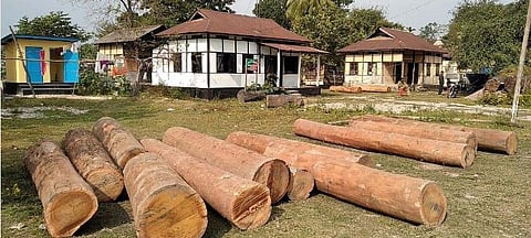 Huge cache of illegal sal logs seized in Gossaigaon