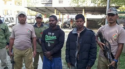 Illegally carried sown Sal logs & Non-Sal Logs seized in Kokrajhar, Two arrested