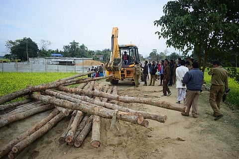 200 sal logs seized from PWD construction site at Neuldoba village, Boko