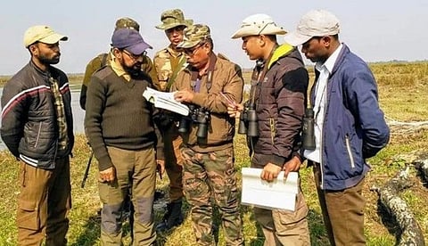 Two-day long Second waterfowl census done in KNP, large number of waterfowls recorded