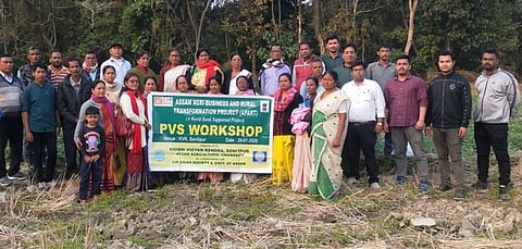 Krishi Vigyan Kendra, Sonitpur organized workshop on potato varietal selection