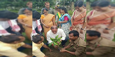 Goalpara district administration plants 15 lakh saplings during 2018 - 2019