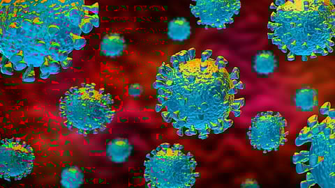 Coronavirus: Haryana imposes ban on night clubs, cinemas