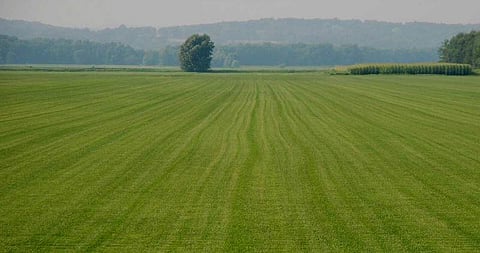 Four injured in clash over land dispute at Laharighat